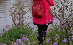 张津瑜6分35秒哪里看